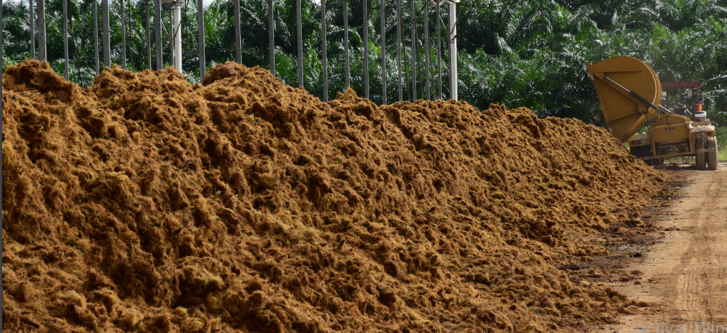 Nada se desperdicia, todo se transforma.