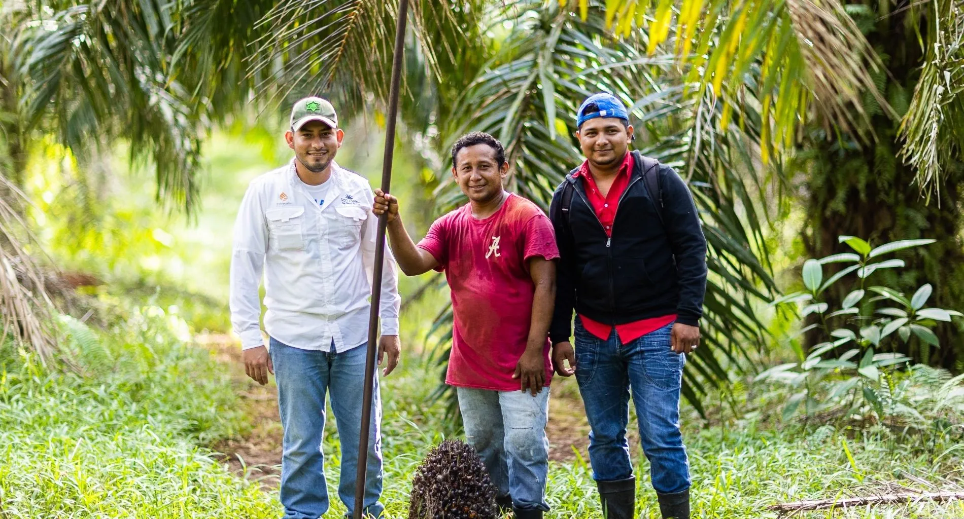 Alianzas estratégicas, impacto real